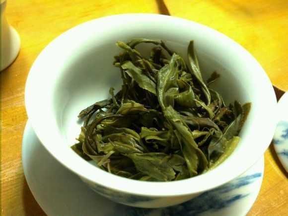 养花遇见虫害怎么办用这6种肥水浇花,虫远离叶翠绿