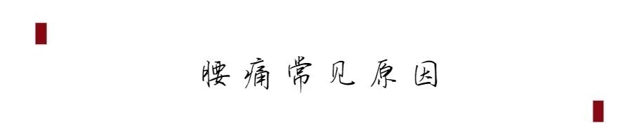养腰|秋冬总是腰痛？睡前一个动作最养腰，一起来学习吧！