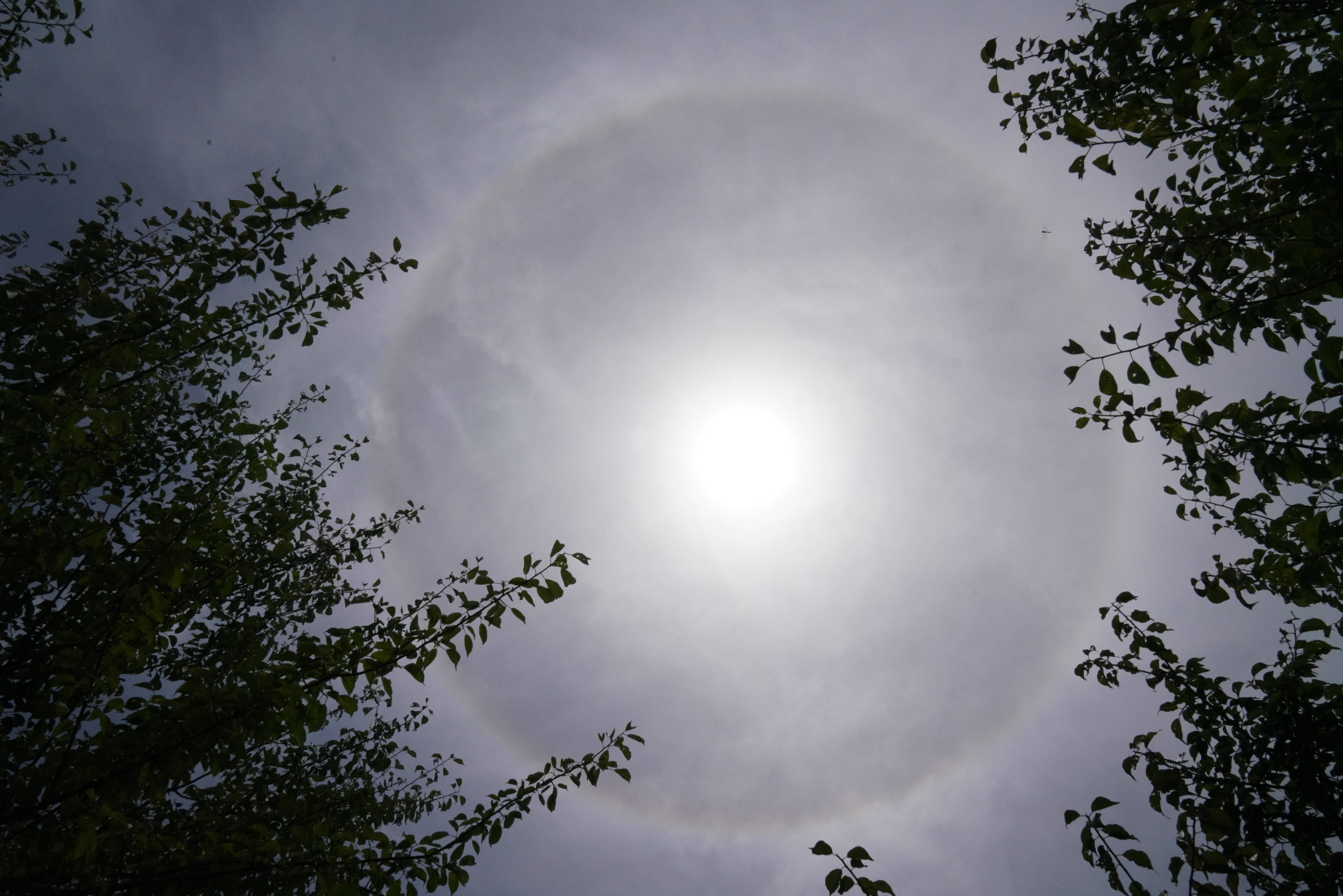 三棱镜 抬头看！桐乡上演日晕奇观！预示着……