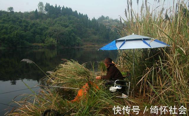 淤泥|为了让窝里的底层鱼接触到钓饵,我找到了一个简单的方法