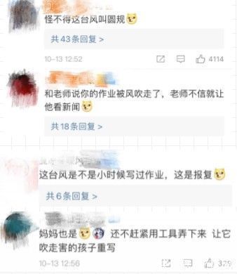 台风|作业被台风吹走了！真的，都快做完了...