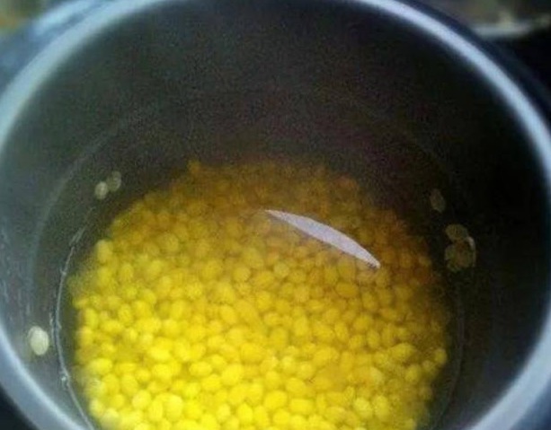 “小黄豆”作用大,三角梅盆栽加点它,呼呼直窜,一年长成大花树