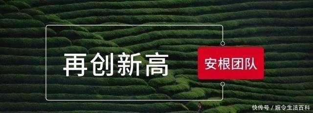 茶人分享:生态经济学
