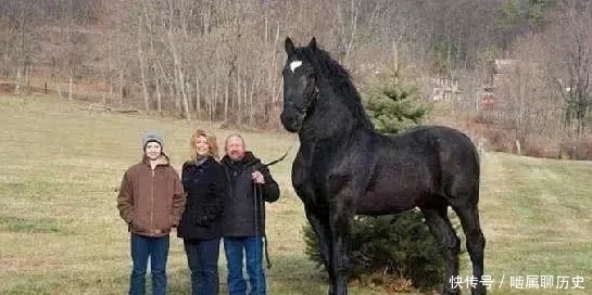  吉尼斯|吉尼斯世界之最：第一项太“恶心”，最黑的女性是什么样子？