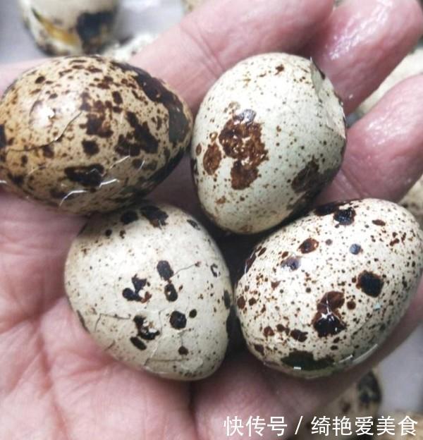 鹌鹑蛋|它含有20种氨基酸,再贵也要买,孩子个子高于同龄人,脑瓜灵!
