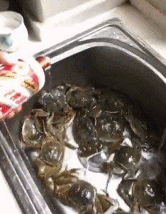 |搞笑GIF:本来想展示一下技术 没想到她最后一跳太抢镜了