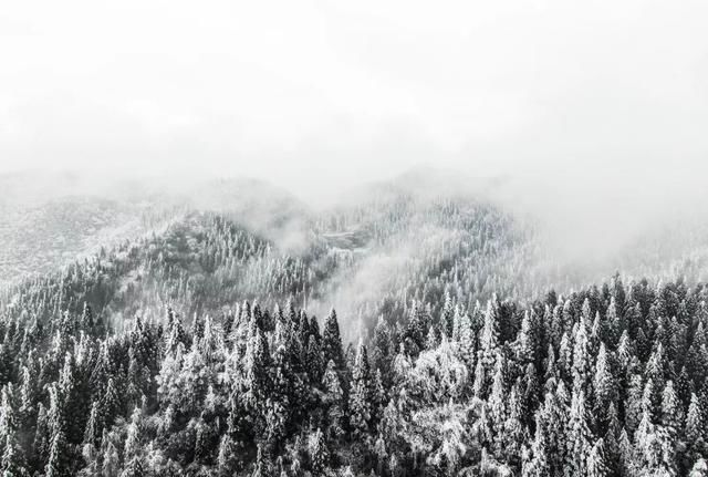 惊艳|仙山秘境、峡谷奇石、胜迹城楼……湖北10个赏雪地，惊艳震撼！