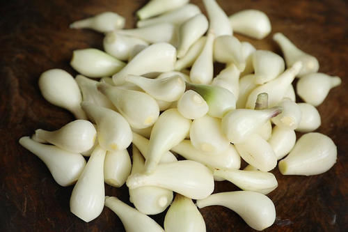 中药|像葱又像蒜,叫葱又叫蒜,非葱非蒜,通胸阳、行肠气、定喘、化脂