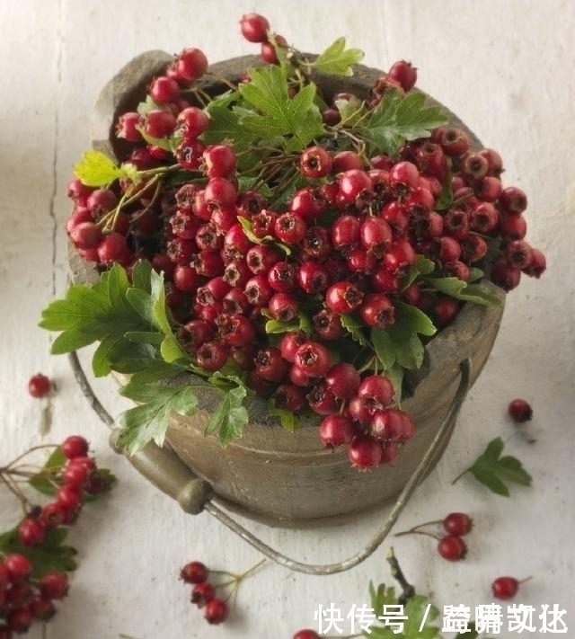 鞣酸|山楂有什么营养价值?什么样的人千万不能吃山楂?