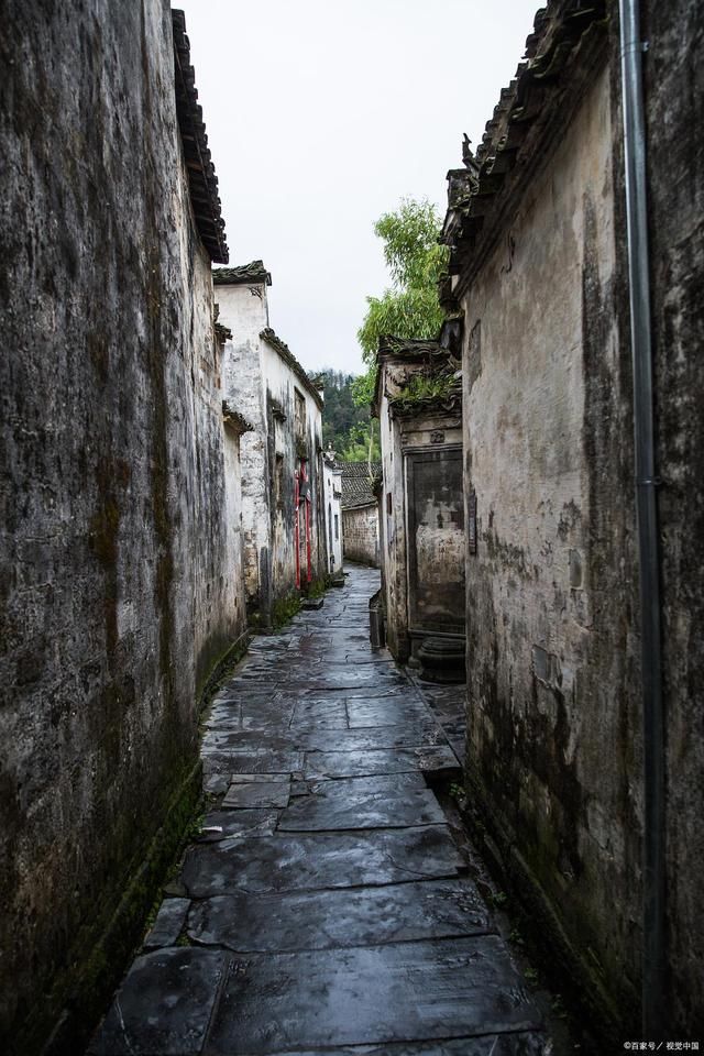 丽姿|诗词:青石巷，浅台阶，独坐佳人愁杏腮