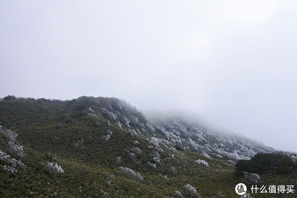 金佛山|夏日忆雪---重庆南川金佛山赏雪记