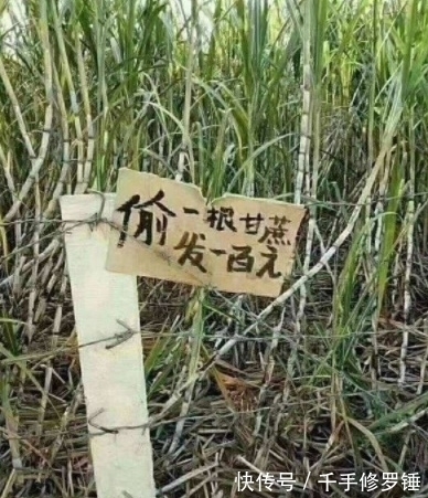 |笑话:老妈对女朋友不是很满意,抱怨道:那姑娘瘦得像个猴子似的