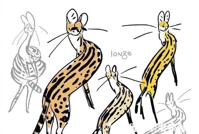 大佬|网友吐槽见到只螺旋猫，画师大佬帮他画了出来