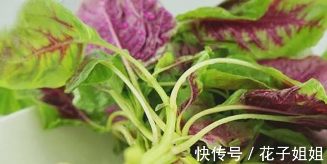 红叶子|同样是苋菜,为何有“红叶”和“绿叶”老菜农区别大,别买错!