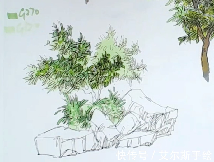 颜色|「艾尔斯马克绘」用马克笔如何画出栩栩如生的植物呢？