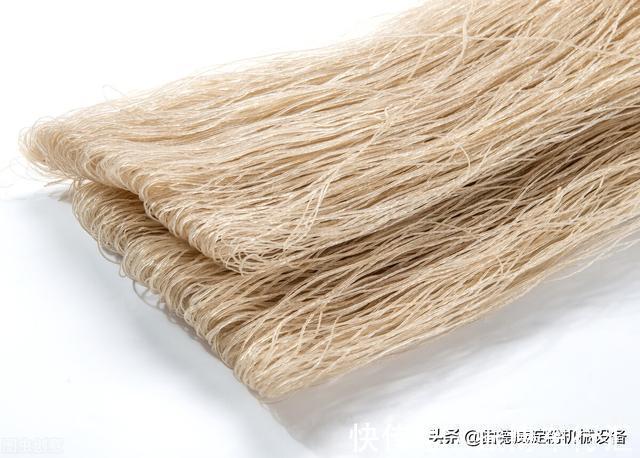 农户|农户选择这种红薯粉条机,一机多用,种类丰富,一天能做几十吨