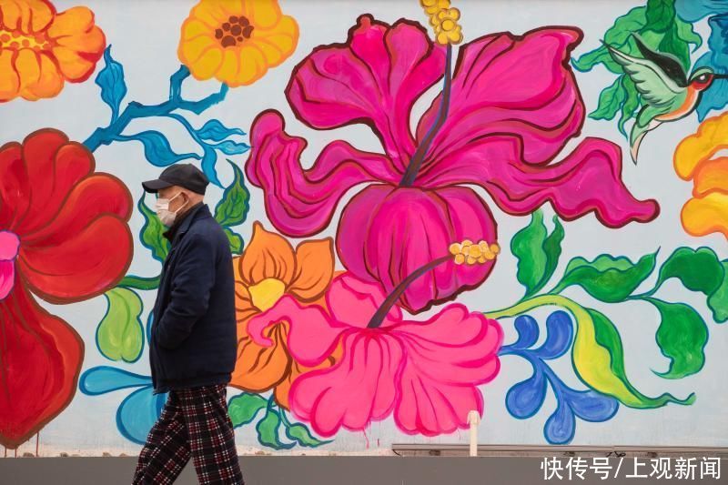 包围|30余幅彩绘绵延600多米,上海徐汇一老小区被涂鸦“包围”……