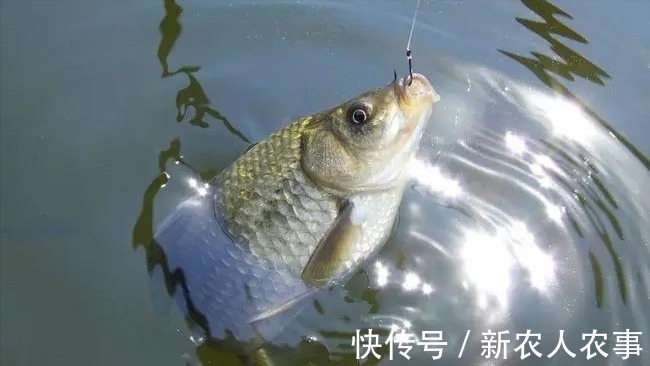 钓了3条鱼要求赔偿五万元,江西3名男子摊上事了,双方都应该反思