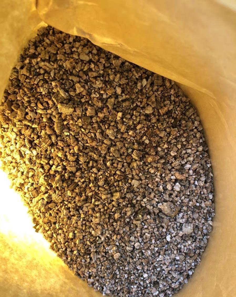 扦插月季活不了,土有问题,用蛭石扦插,发根率达到80%