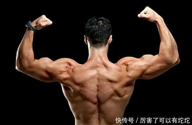 锻炼|为什么不建议每天都锻炼,其中原因,看完这几点,你就能够理解了