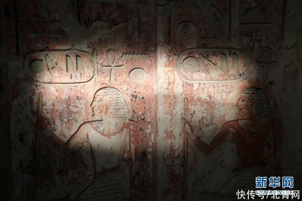 彩绘|埃及塞加拉古墓寻“画”