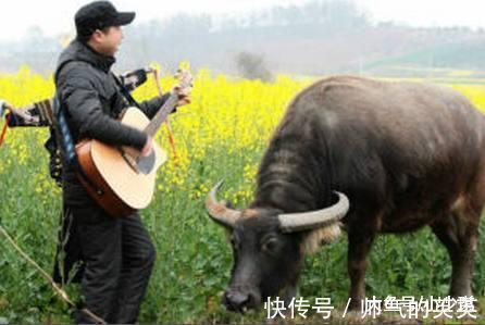 经典|绝对! 上联 对牛弹琴牛不理, 高僧的试对经典到爆!