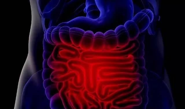 高二女生,因一壶蒲公英水,被送入医院,蒲公英泡水,有4大禁忌