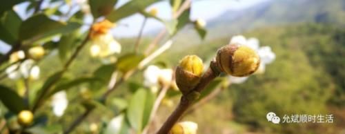 为什么有些不化妆的人，也要每天卸妆？