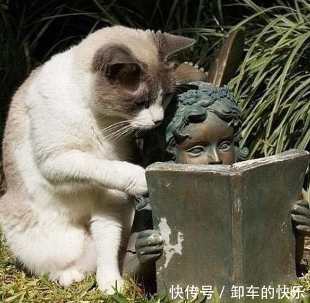 |笑话段子:逗逼同事,每次用同样的套路忽悠……