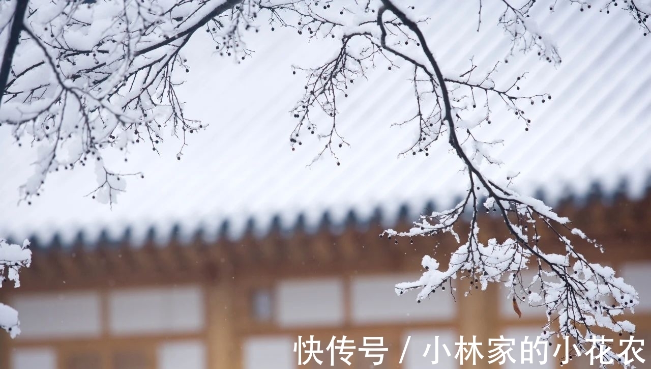 冬天#白居易笔下的冬天,美到极致,暖到极致