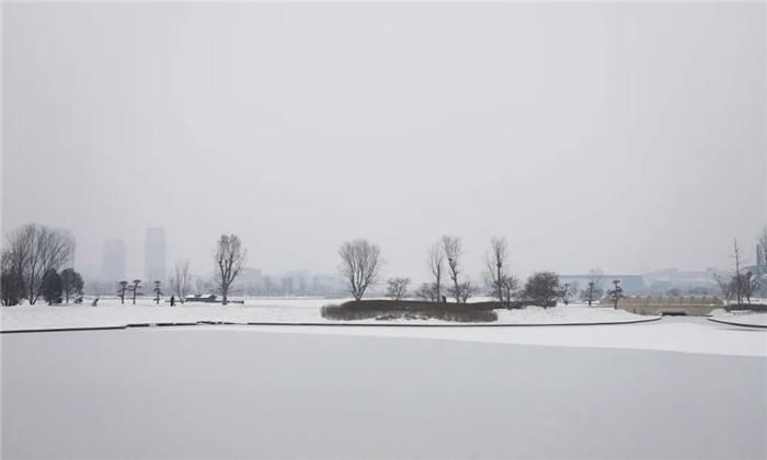 中年|东阿阿胶迎来新年第一场雪