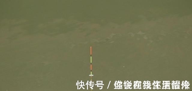 鲢鳙怎么钓?很多人第一步就错了。注意到这3点就怕鱼护装不下