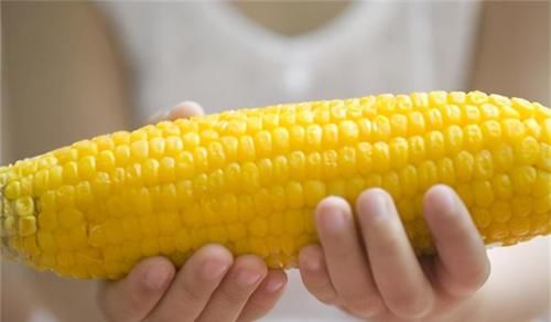 異葉茴芹|夏天不妨多吃3種食物，滋潤皮膚，排毒瘦身，還能提高免疫力！