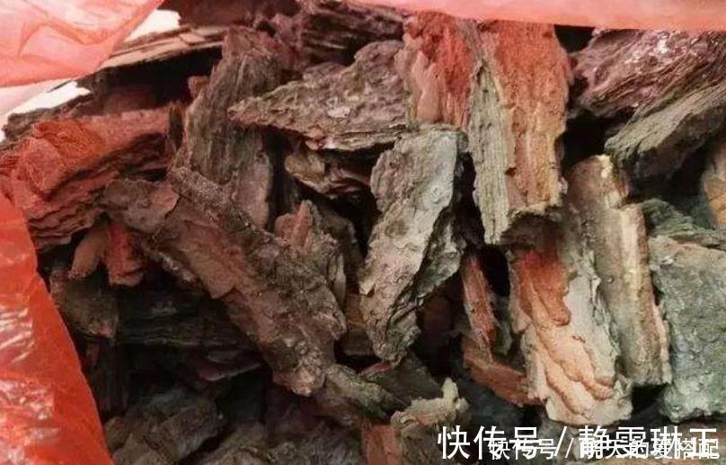 家庭|家庭养花必不可少的4种“好材料”,不花一分钱,配土透气又透水