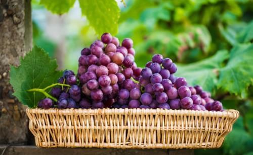 排毒|“子宫”喜欢3种食物，女人每天换着吃，暖宫排毒，滋养卵巢！