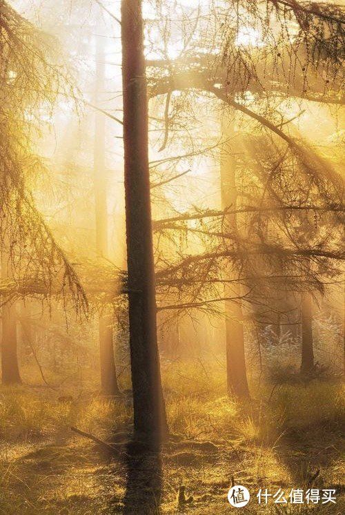 伤病阴影下的较量杜兰特复出挑战浓眉内线霸权