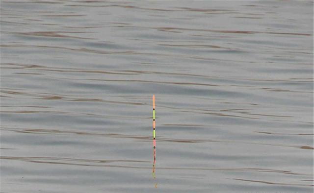 野钓调漂有规律,钓灵不“灵”,钓顿才“灵”,原因在这里