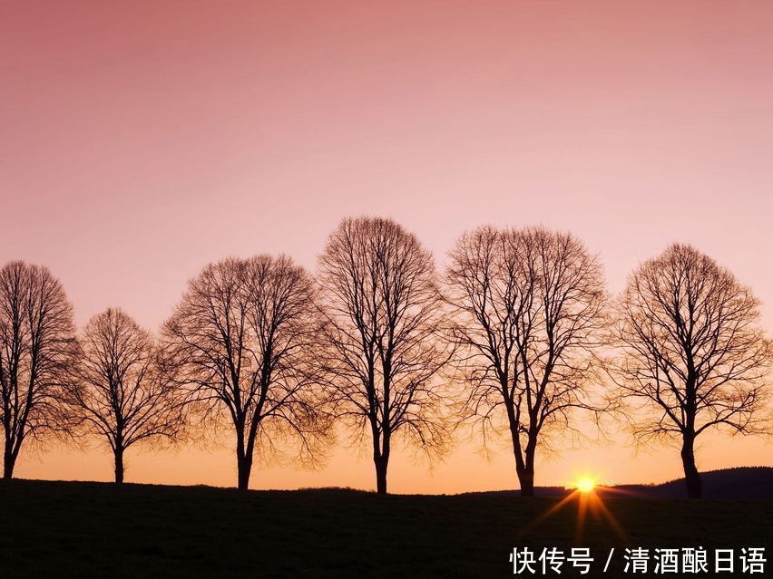 解题技巧|关于高考日语阅读的解题技巧