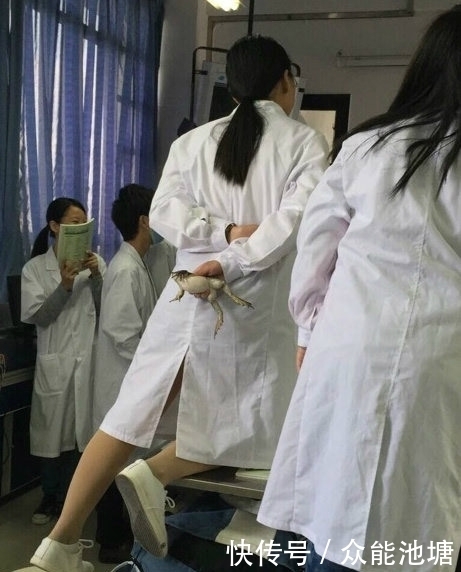 幽默|搞笑图片幽默段子笑话:妹子胆子真大啊，一定是的三好学生吧