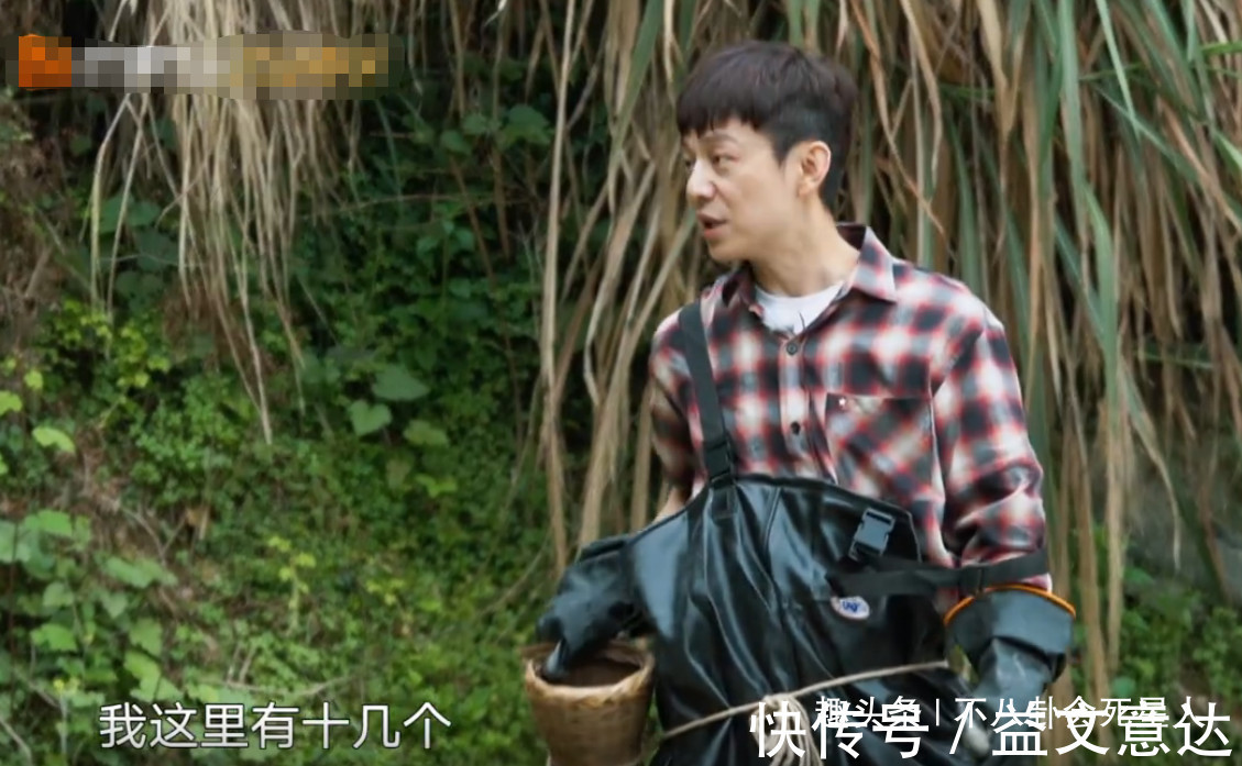 《向往》造假嚴(yán)重蘿卜現(xiàn)種的,魚塘現(xiàn)挖的,全靠工作人員搞衛(wèi)生