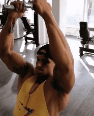 肌群|不用做引体向上,只需五个动作,就能练出完美背部肌群