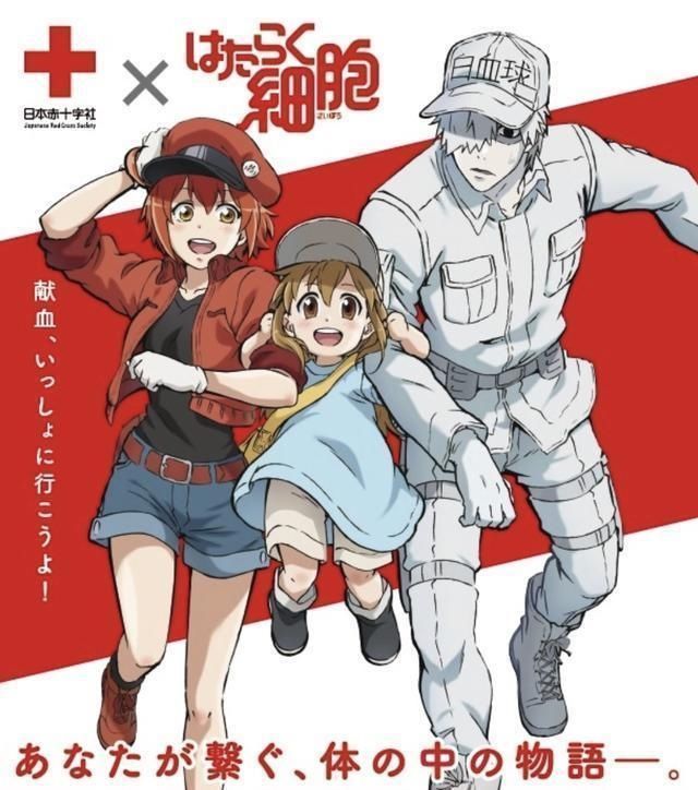 吸血鬼|蜘蛛子苏菲亚护士装扮,骗宅男献血,漫迷:变成吸血鬼我也愿意