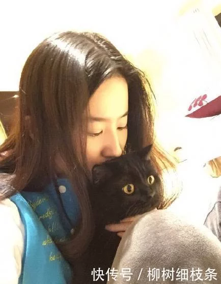 吸猫什么意思