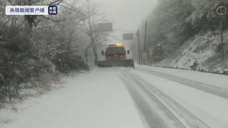 蓝色预警|雪，一片一片一片一片……