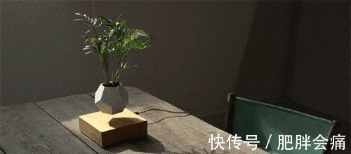 邻居|还买什么花盆 不用花一分钱, 就能把家里美到让邻居羡慕!