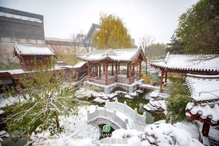 初雪|立冬初雪 北京市属公园美翻天！