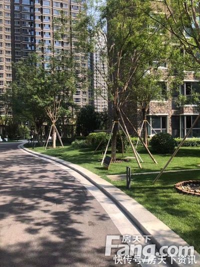 蓝湾|夏威夷蓝湾新拍现场图片，实时了解楼盘新动态