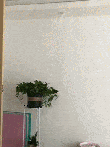 |搞笑GIF:妹子你可真优秀,坟竟让人给刨了