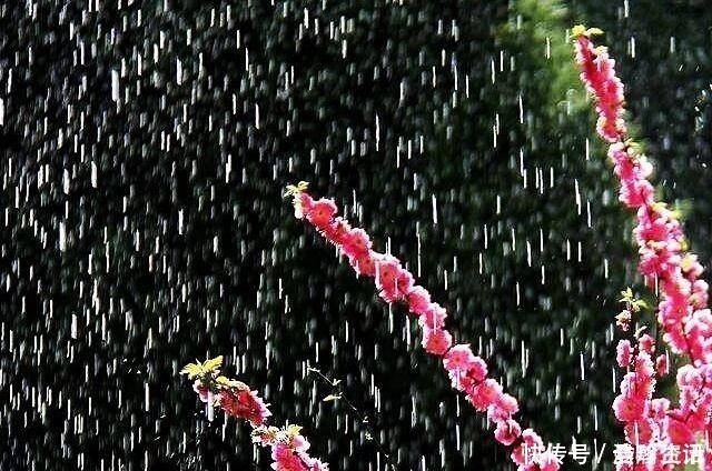 花间带$李煜这首词写得如此悲伤,花间带雨如含泪,令人读来心已碎