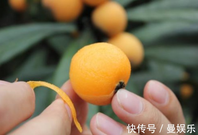 果粉|枇杷清热化痰效果好教你3个妙招挑枇杷，挑到营养好吃又成熟